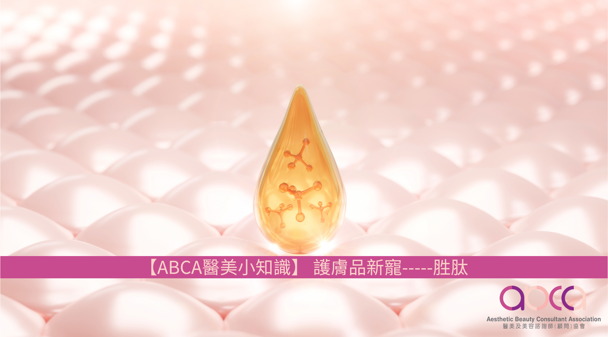 ABCA 醫美小知識護膚品新寵-----胜肽